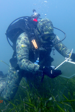 Tom exploring the ocean floor